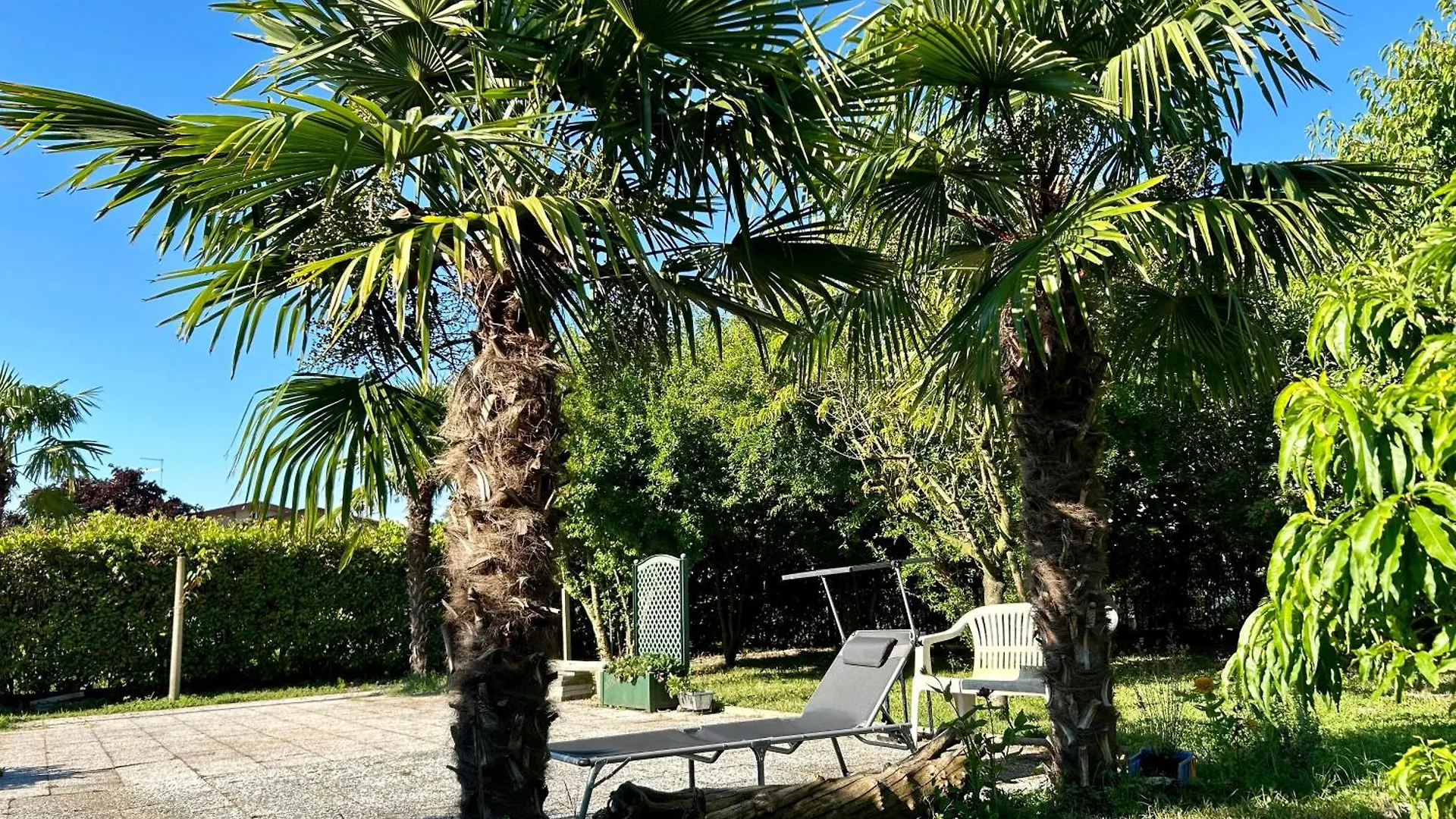 Palma Verde Castello di Brussa Homestay